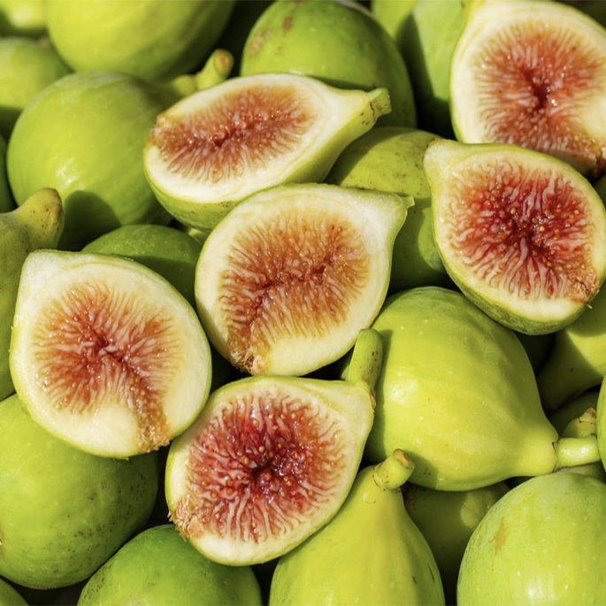 Green Fig