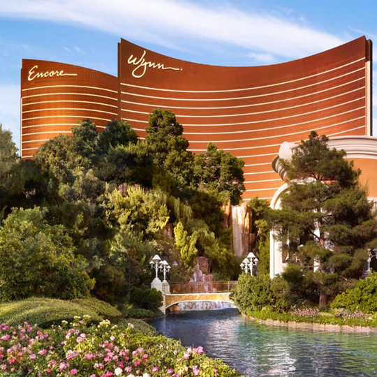 Asian Lilly - Wynn Hotel